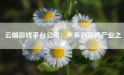 云端游戏平台公司：未来的游戏产业之星