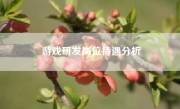 游戏研发岗位待遇分析