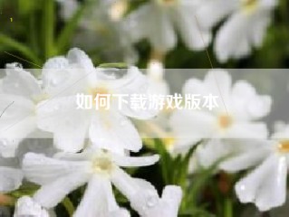 如何下载游戏版本