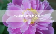 **nn游戏平台怎么样**