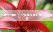 37游戏公司：一个蓬勃发展的游戏开发巨头