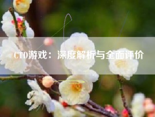 CTD游戏：深度解析与全面评价