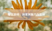 耀信游戏：探索其魅力与影响