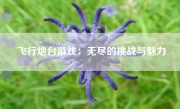 飞行炮台游戏：无尽的挑战与魅力