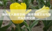 潮州无人游戏空间：探寻传统文化与现代玩乐的交融