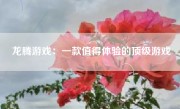 龙腾游戏：一款值得体验的顶级游戏