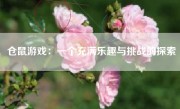 仓鼠游戏：一个充满乐趣与挑战的探索