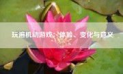 玩遍机动游戏：体验、变化与意义
