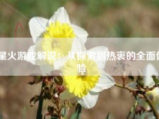 星火游戏解说：从探索到热衷的全面体验