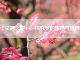 《灵越之游：一探究竟的乐趣与冒险》