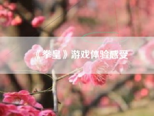 《拳皇》游戏体验感受