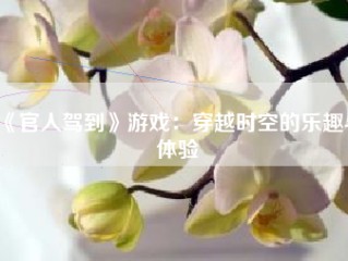 《官人驾到》游戏：穿越时空的乐趣与体验