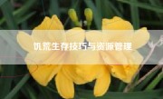 饥荒生存技巧与资源管理