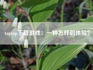 taptap下载游戏：一种怎样的体验？