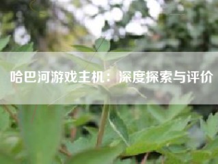 哈巴河游戏主机：深度探索与评价