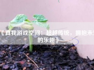 《真我游戏空间：超越传统，拥抱未知的乐趣》