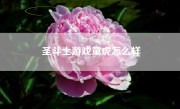 圣斗士游戏童虎怎么样