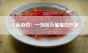 子薇游戏：一场视听盛宴的探索