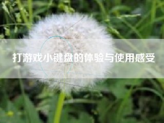 打游戏小键盘的体验与使用感受