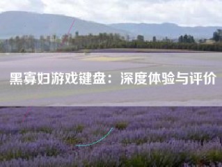 黑寡妇游戏键盘：深度体验与评价