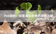PSVR游戏：探索虚拟世界的奇妙之旅