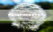 查询游戏时间的重要性及方法