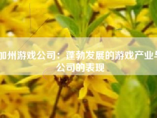 加州游戏公司：蓬勃发展的游戏产业与公司的表现