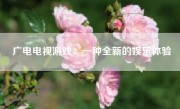 广电电视游戏：一种全新的娱乐体验