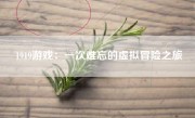 1919游戏：一次难忘的虚拟冒险之旅