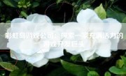 彩虹岛游戏公司：探索一家充满活力的游戏开发巨头
