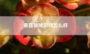 垂直领域游戏怎么样