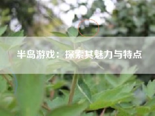 半岛游戏：探索其魅力与特点