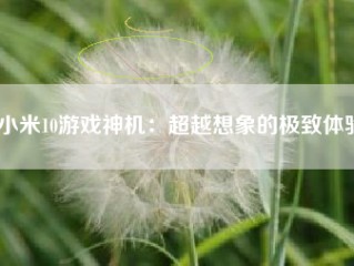 小米10游戏神机：超越想象的极致体验