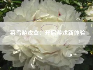 菜鸟游戏盒：开启游戏新体验