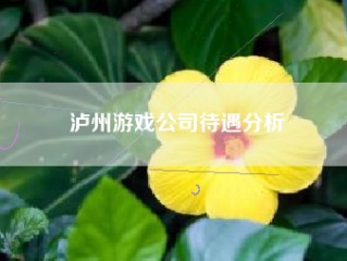 泸州游戏公司待遇分析