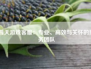 普天游戏客服：专业、高效与关怀的服务团队