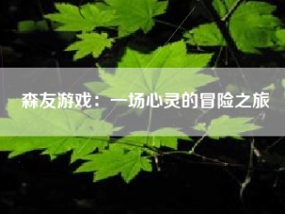 森友游戏：一场心灵的冒险之旅