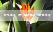 游戏耳机：提升游戏体验的专业神器