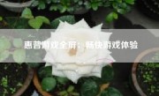 惠普游戏全屏：畅快游戏体验