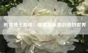 熊猫博士游戏：探索与乐趣的奇妙世界