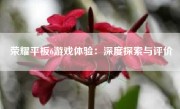 荣耀平板6游戏体验：深度探索与评价