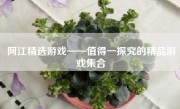 阿江精选游戏——值得一探究的精品游戏集合