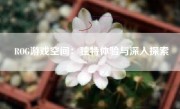 ROG游戏空间：独特体验与深入探索
