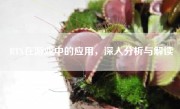 RTX在游戏中的应用，深入分析与解读