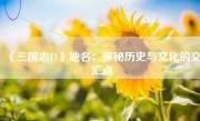 《三国志11》地名：探秘历史与文化的交汇点