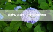 真我玩游戏：一种独特的体验