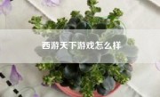 西游天下游戏怎么样