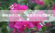 枫林游戏公司：一家游戏行业的璀璨之星