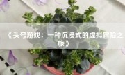 《头号游戏：一种沉浸式的虚拟冒险之旅》