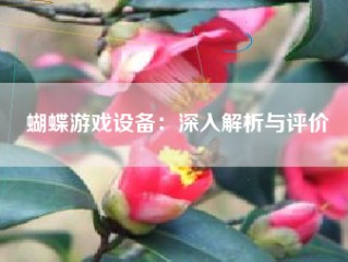 蝴蝶游戏设备：深入解析与评价